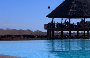 Voi Wildlife Lodge